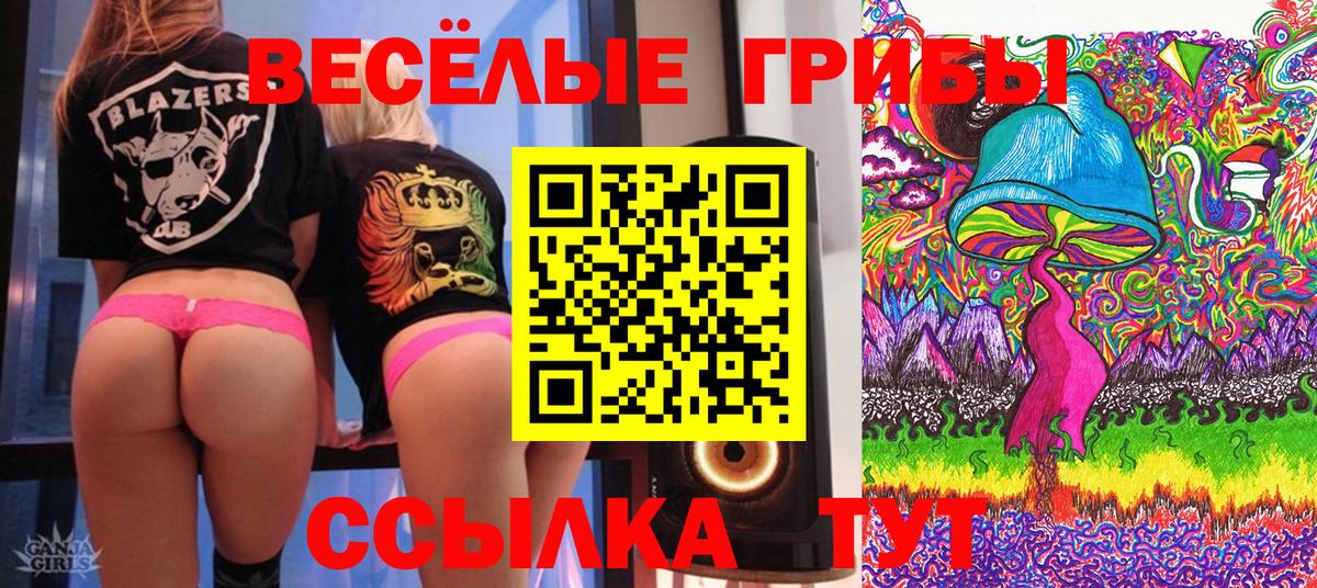 Галлюциногенные грибы мицелий  Вход с VPN  Куйбышев 